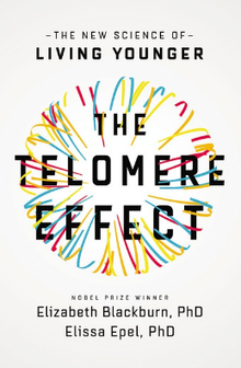 telomere-effect.png