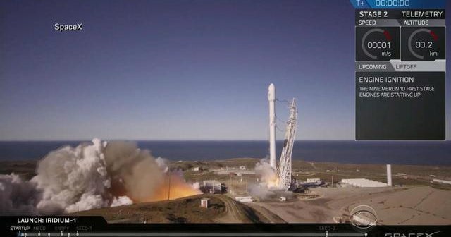 SpaceX celebrates first successful launch after rocket