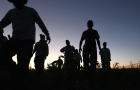 Migrant farm workers from Mexico finish a long day of harvesting organic vegetables at Grant Family Farms on Sept. 3, 2010, in Wellington, Colorado. 