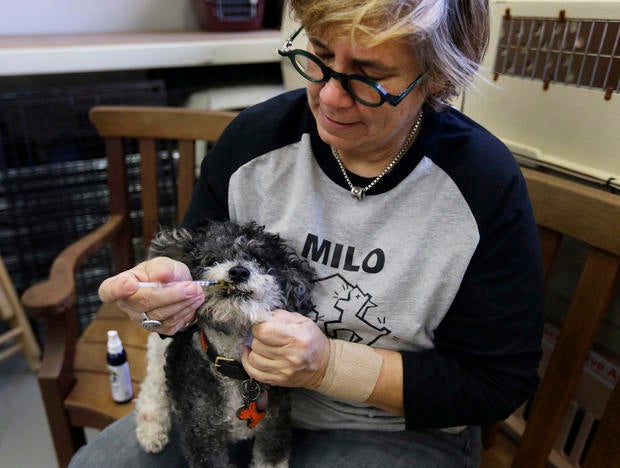 pot-for-pets-2.jpg