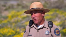 d2-blackstone-superbloom-transfer3.jpg
