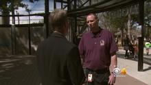 170404-cbs-denver-tiger-touched05.jpg