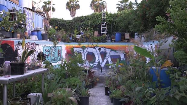 170409-en-villarreal-gangsta-gardener03.jpg