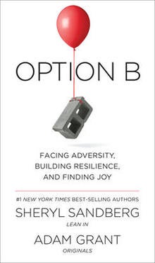 option-b-cover-knopf-244.jpg