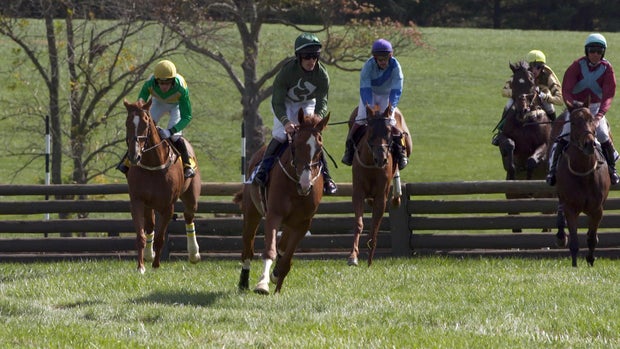 Maryland Steeplechasing (Images of America)