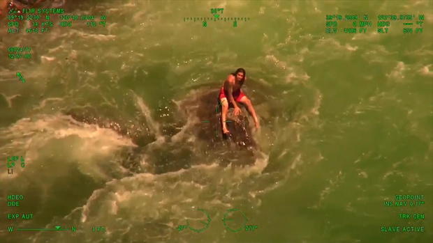 stranded-swimmer.jpg