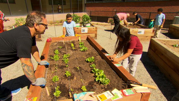 mpu-chef-guard-growing-food.jpg