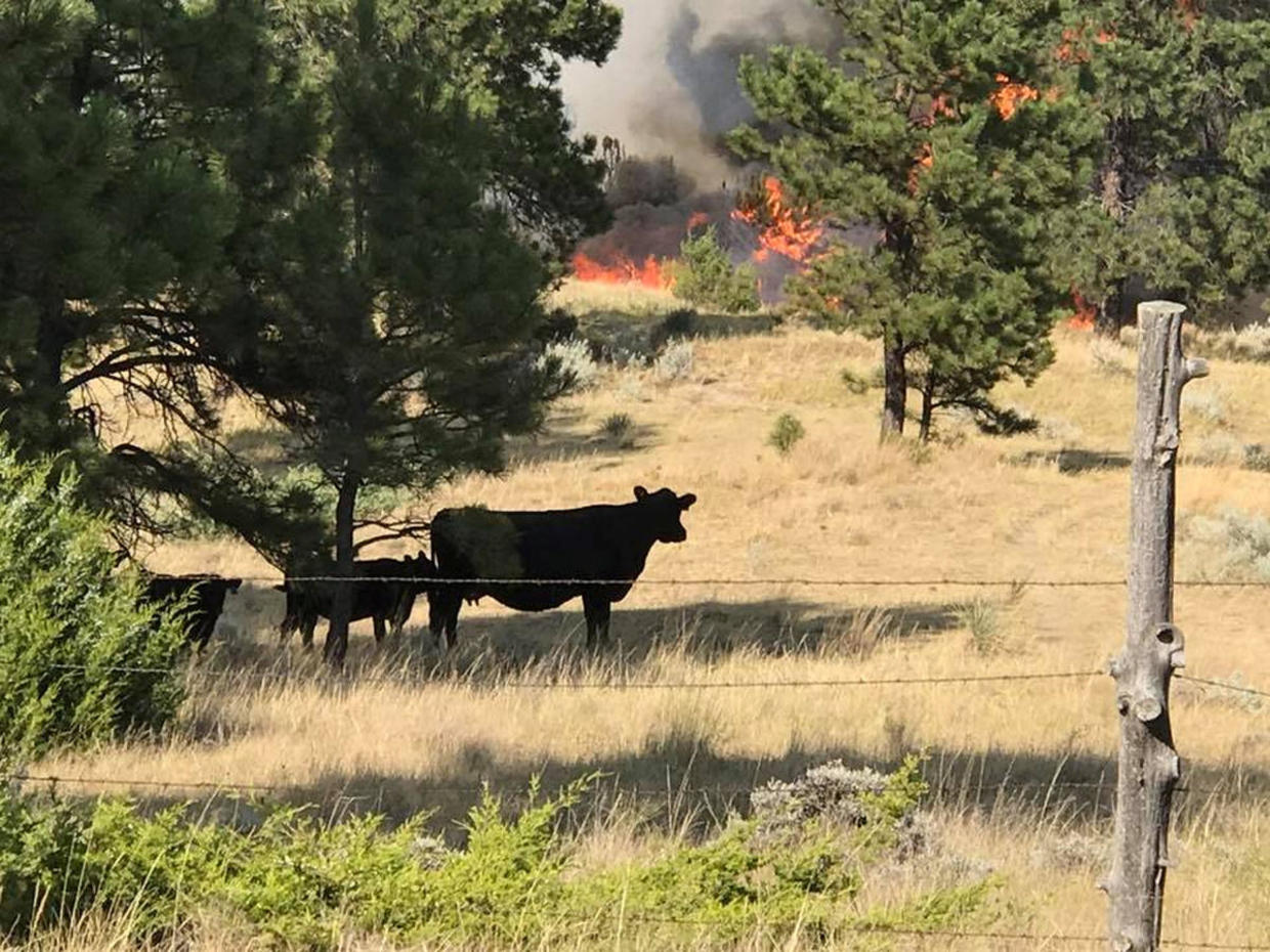 Crews From 34 States Arrive To Help With Destructive Montana Fires Cbs News 9074