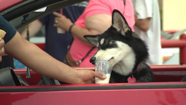frozen-custard-dog-620.jpg