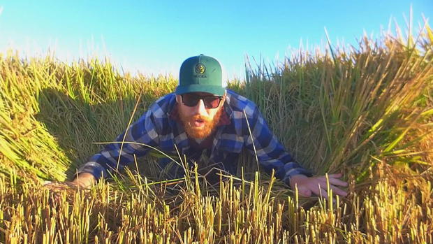 rice-farmer-1.jpg