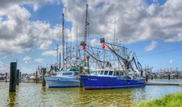 shrimp-boats.jpg