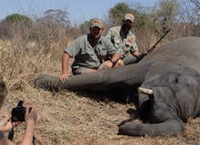 trophy-elephant-hunt.jpg