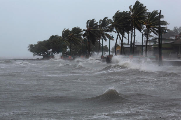 Palm tress buckle under winds and rain in Fajardo as Hurricane Irma slammed across islands in the northern Caribbean 