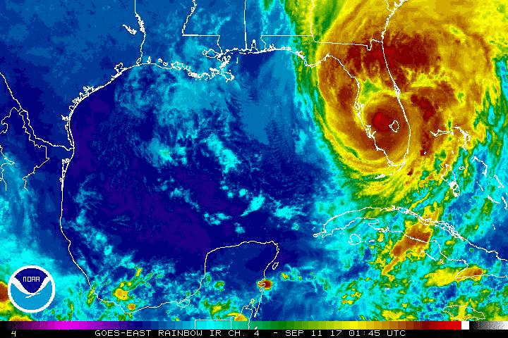 Image result for gif florida Hurricane Irma gif