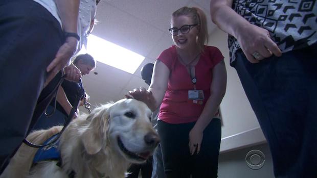 1005-en-comfortdogs-evans4.jpg