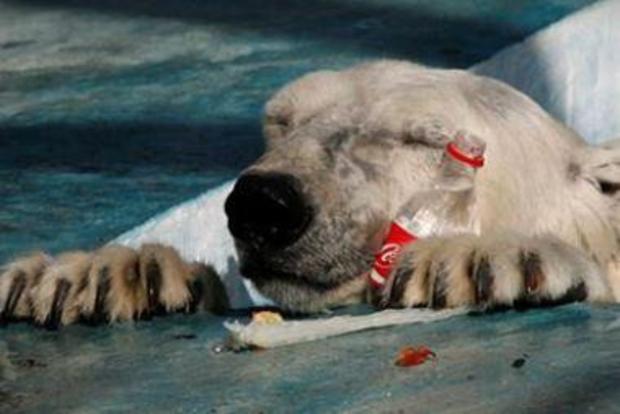 polar-bear-coca-cola.jpg 