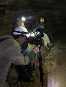gray-bat-shooting-img-5789-244.jpg