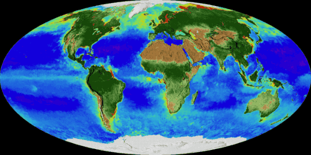 ezgif-com-resize-5.gif