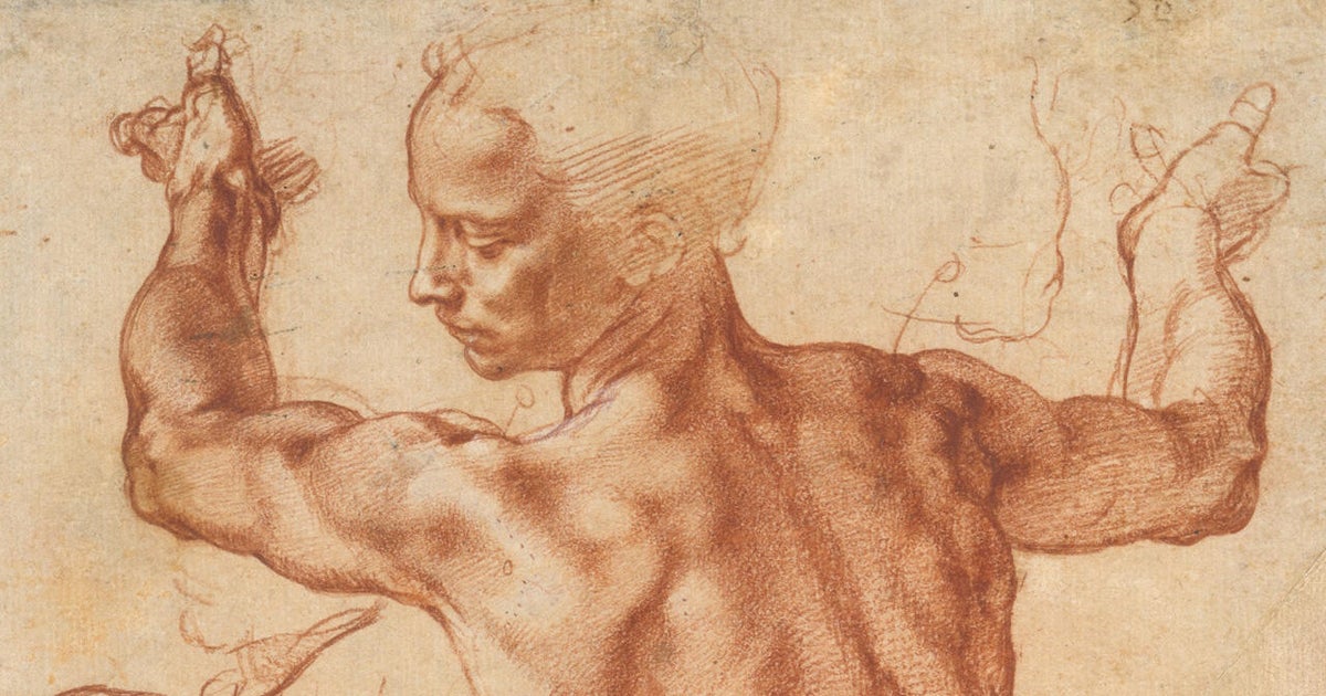 Michelangelo coupons