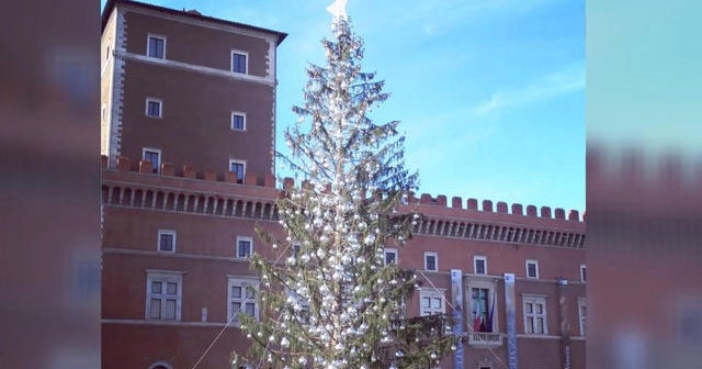 Rome&rsquo;s official Christmas tree becomes joke for residents