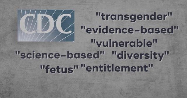 CDC director responds to backlash over dirty words