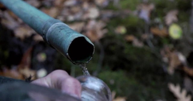 Is the raw water trend a healing tonic or health hazard?