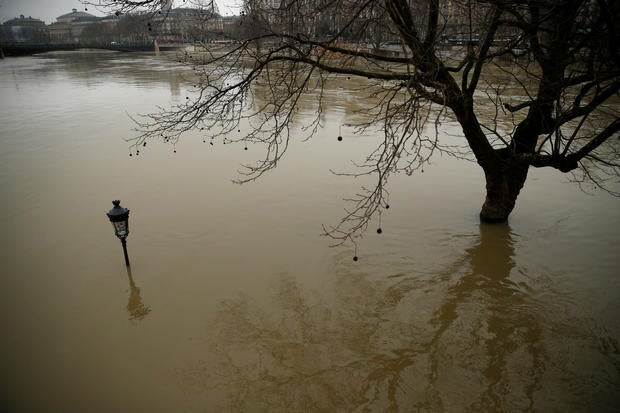 A street lamp and a tree are seen on the flooded banks of the River Seine in Paris