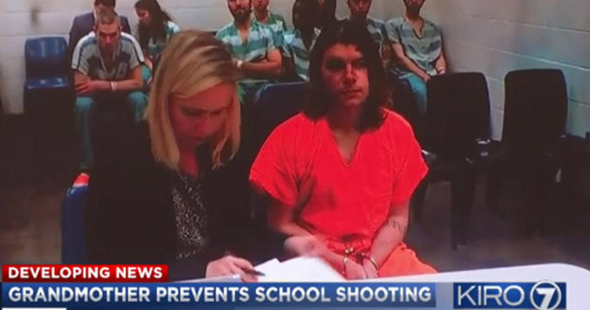 Grandmother foils grandson's alleged school shooting plot in Washington