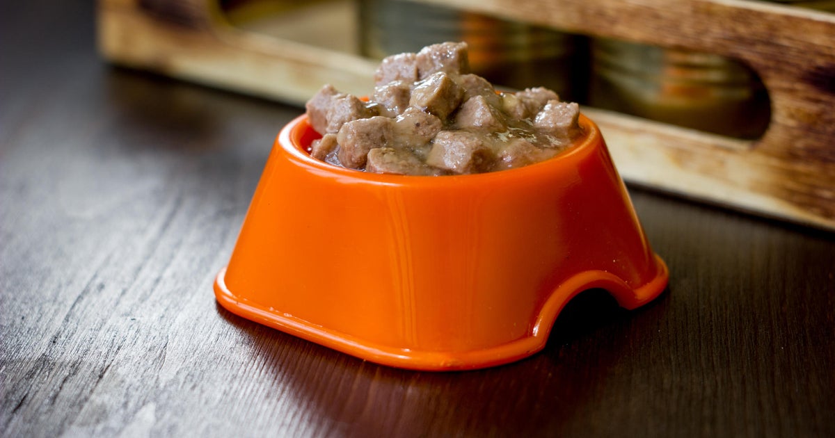 kibbles n bits recall