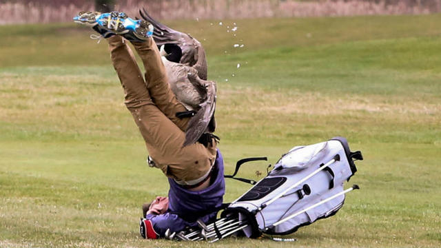 goose-attacks-golfer-cnn-photo.jpg 