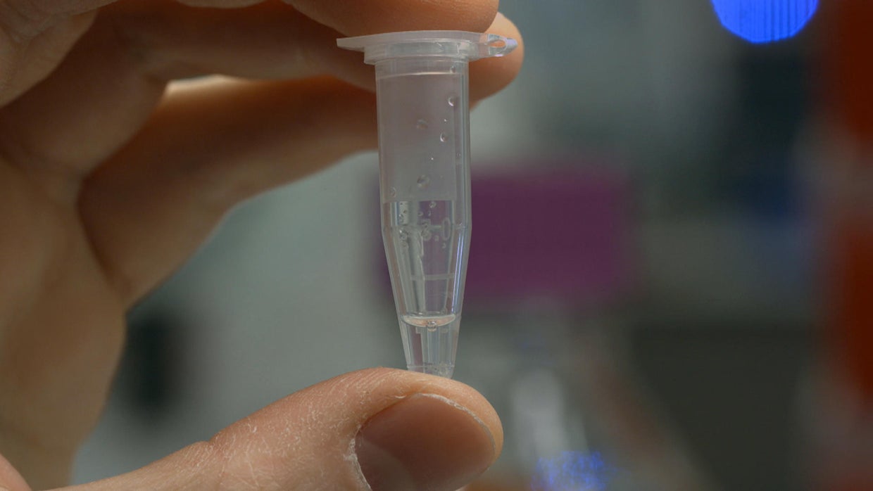 CRISPR The geneediting tool revolutionizing biomedical research CBS