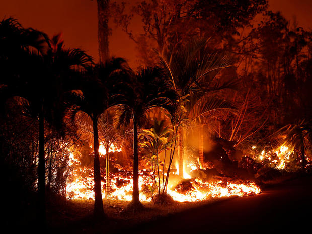 Lava from the Kilauea volcano eruption burns palm trees near Kahukai St. in the Leilani Estates near Pahoa 