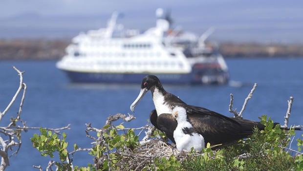 galapagos-islands-tourism-620.jpg