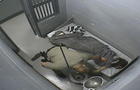 ctm-0905-nevada-jail-death.jpg 