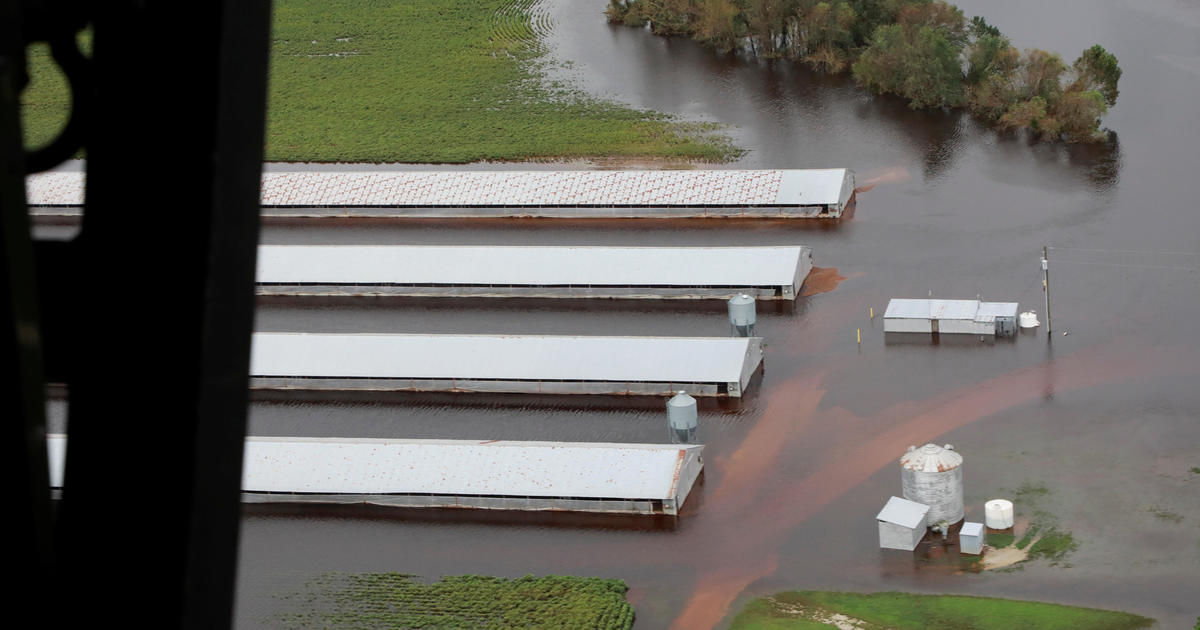 Florence's flooding claims 3.4 million poultry, 5,500 hogs