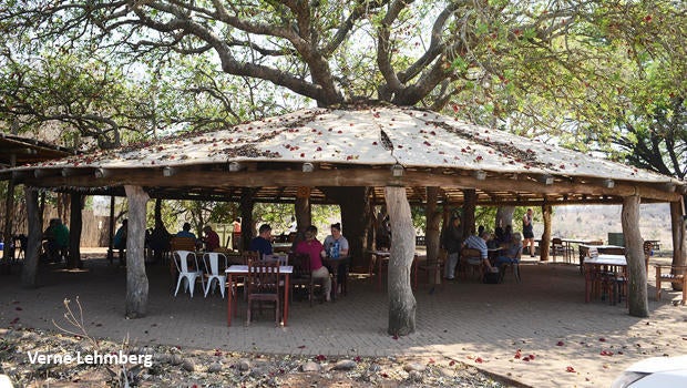 kruger-national-park-picnic-area-620.jpg