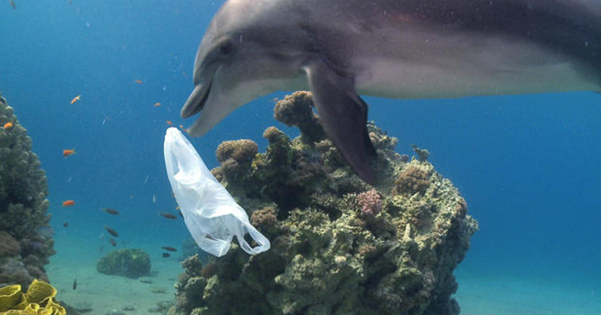 Year's scariest statistic: 90.5% of plastic not recycled - CBS News