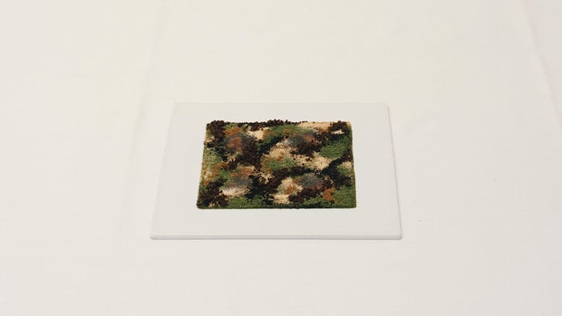 205-camouflage.jpg