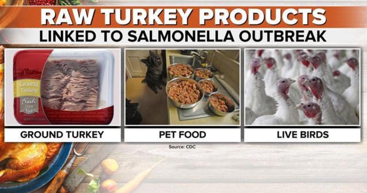 does turkey carry salmonella