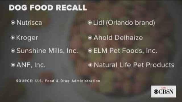 natural life dog food recall 2018