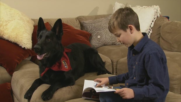 axelrod-cross-country-dog-family-intv-rem83-frame-3467.jpg