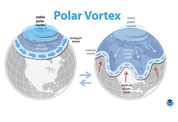 polar vortex 