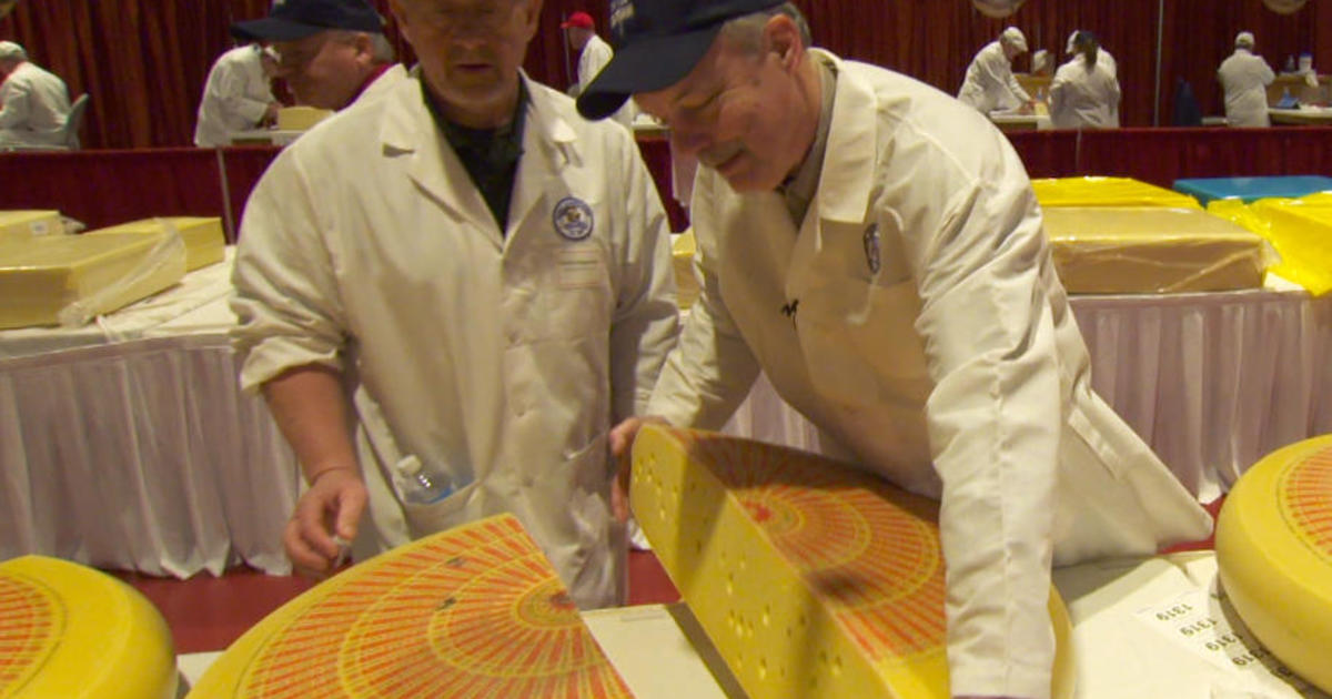 The big cheeses come out at the World Championship Cheese Contest in