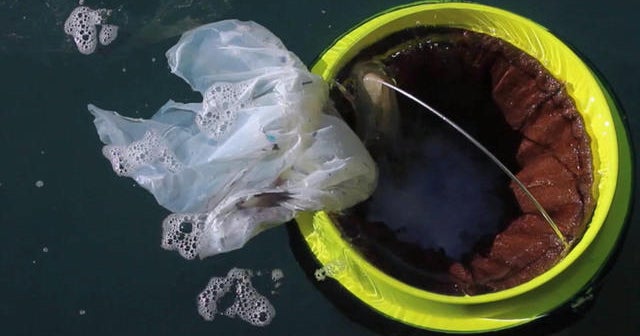 Flipboard "Seabins" in Australia working around the clock to filter