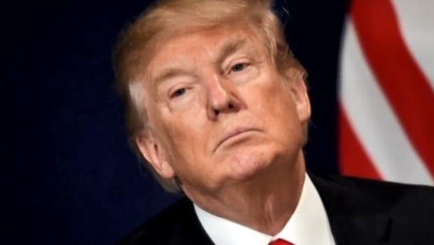 No Doubt Tour 2020 Trump 2020 national press secretary: No Doubt Tour 2020 Trump 2020 national press secretary: