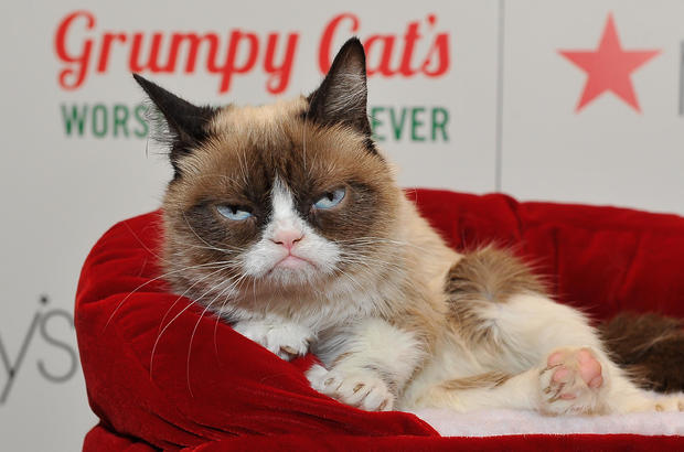 Lifetime's Grumpy Cat's Worst Christmas Ever 