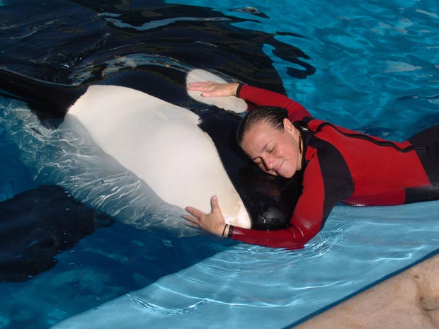 seaworld-dawn.jpg