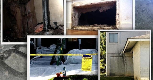 Lee Iacocca Mustang >> Investigation finds military housing contractor ignored ... Lee Iacocca Mustang >> Investigation finds military housing contractor ignored ...