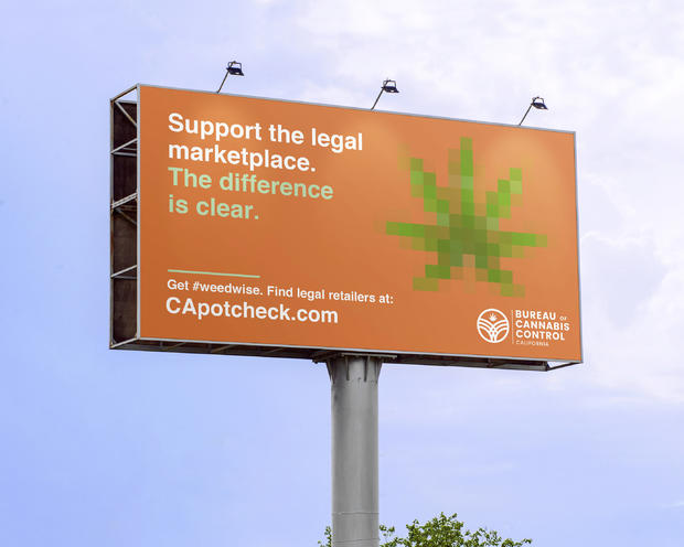 California Marijuana 
