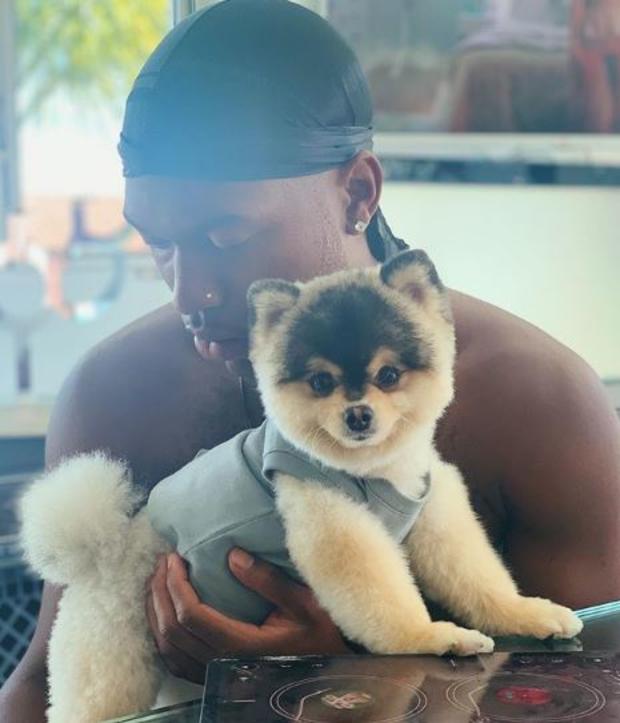 Soccer Star Daniel Sturridge Finds Missing Dog After Reporting It Stolen In West Hollywood 